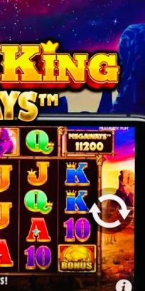 Buffalo King preview 4